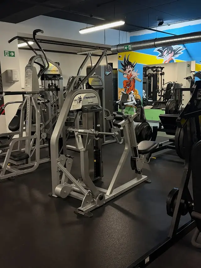 Saiyan Gym — Nautilus sprave za trening snage s Goku muralom u pozadini