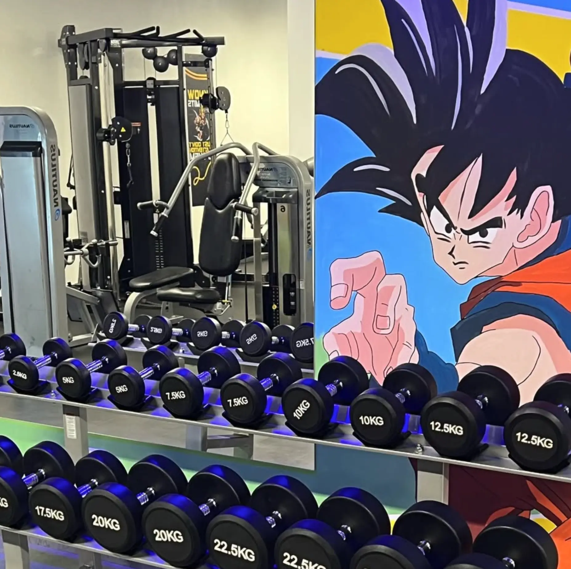 Saiyan Gym — bučice i Goku ilustracija